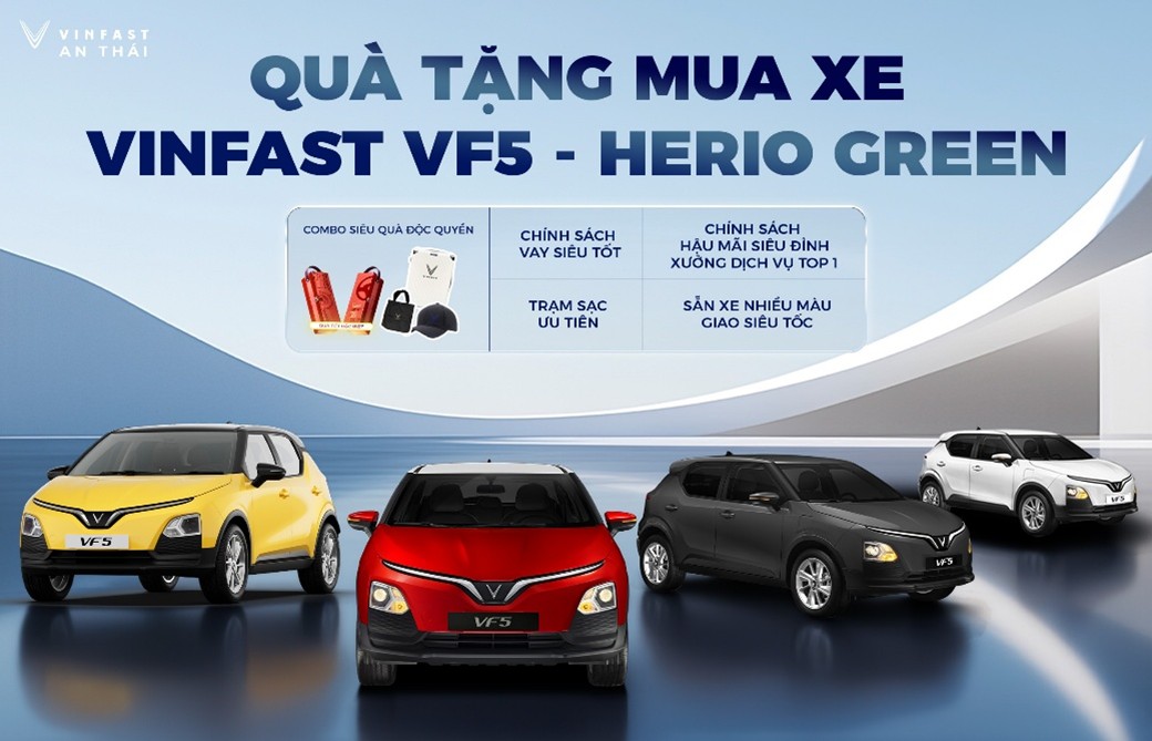 Chính Sách & Dịch Vụ Xe Ô Tô Điện: Trả Góp, Đăng Kiểm Và Ứng Dụng Sạc